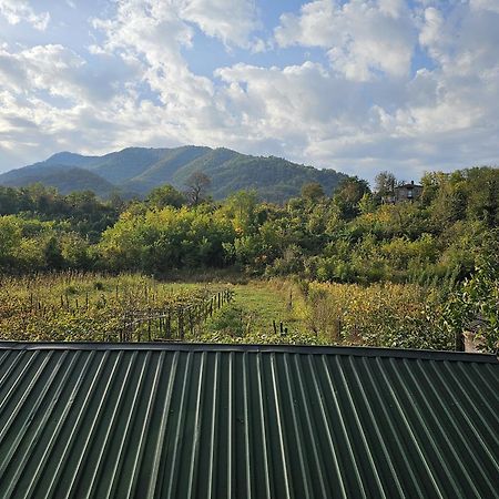 Guesthouse - Family Hotel Bagdati ภายนอก รูปภาพ