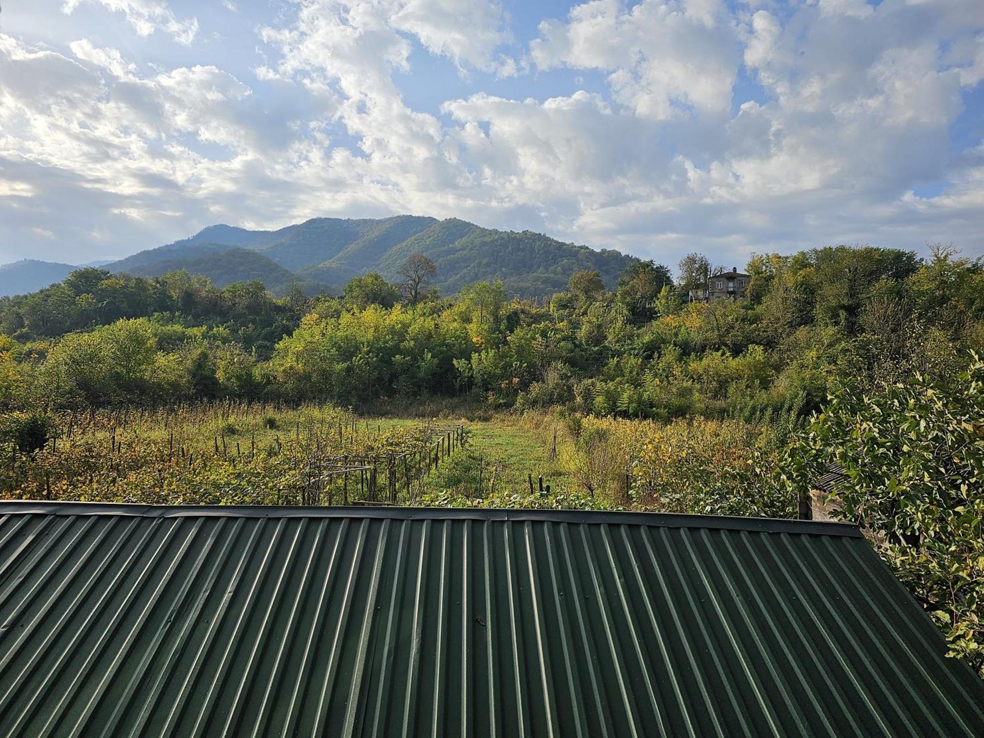 Guesthouse - Family Hotel Bagdati ภายนอก รูปภาพ